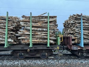 A wood freight train at Kajaani station.